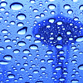 Needle in rain drops H006