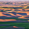 Rolling Hills in Palouse W278
